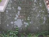 image of grave number 834711